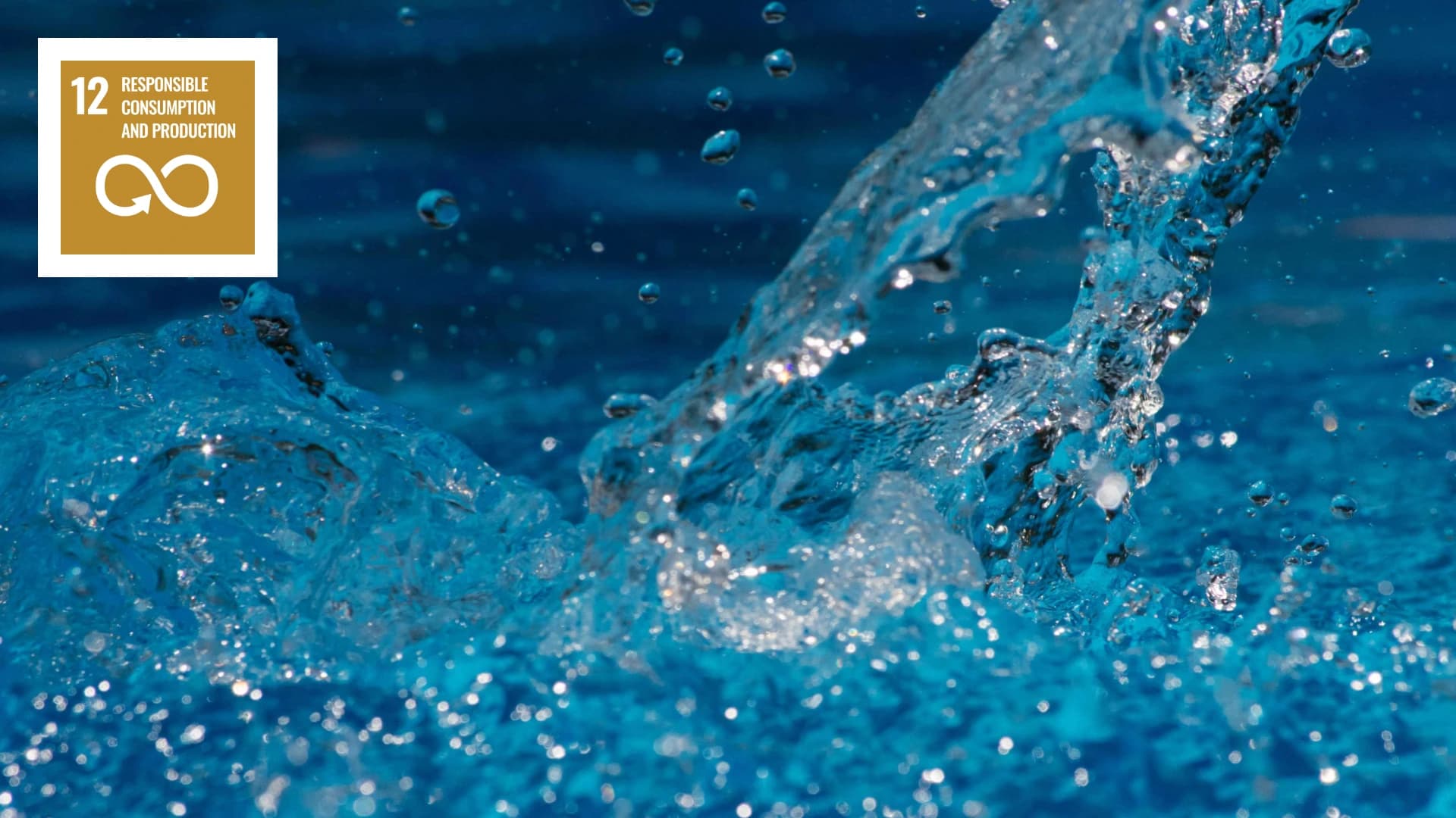 No alternate text provided