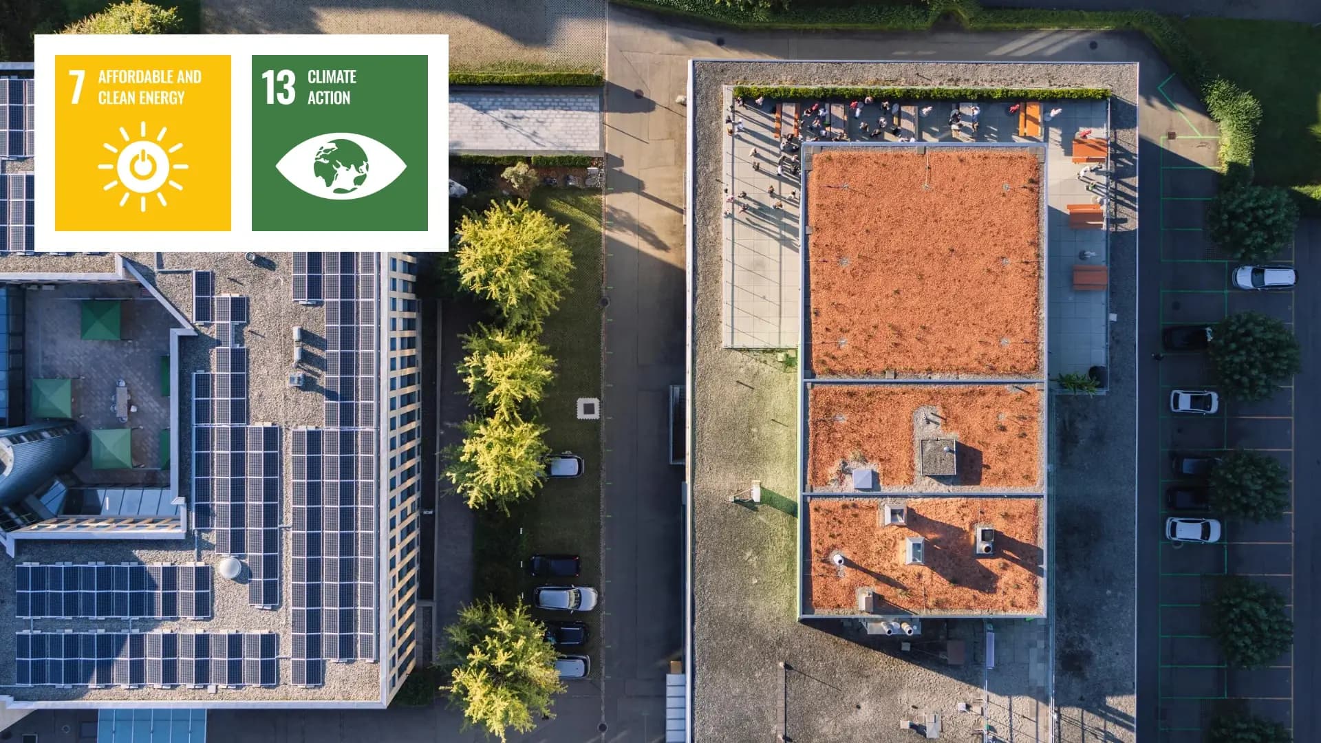 No alternate text provided