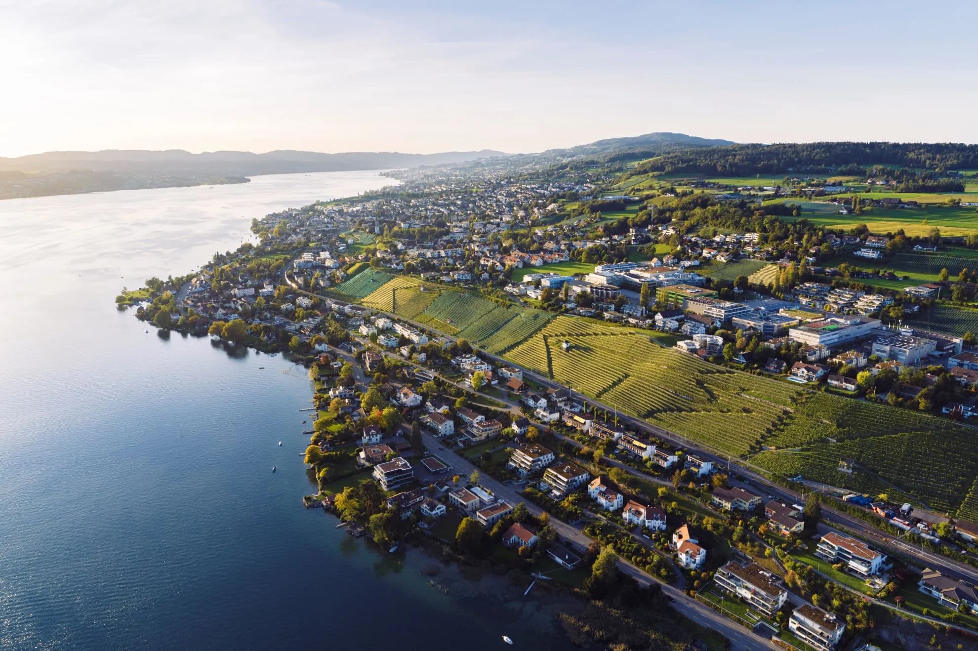 No alternate text provided