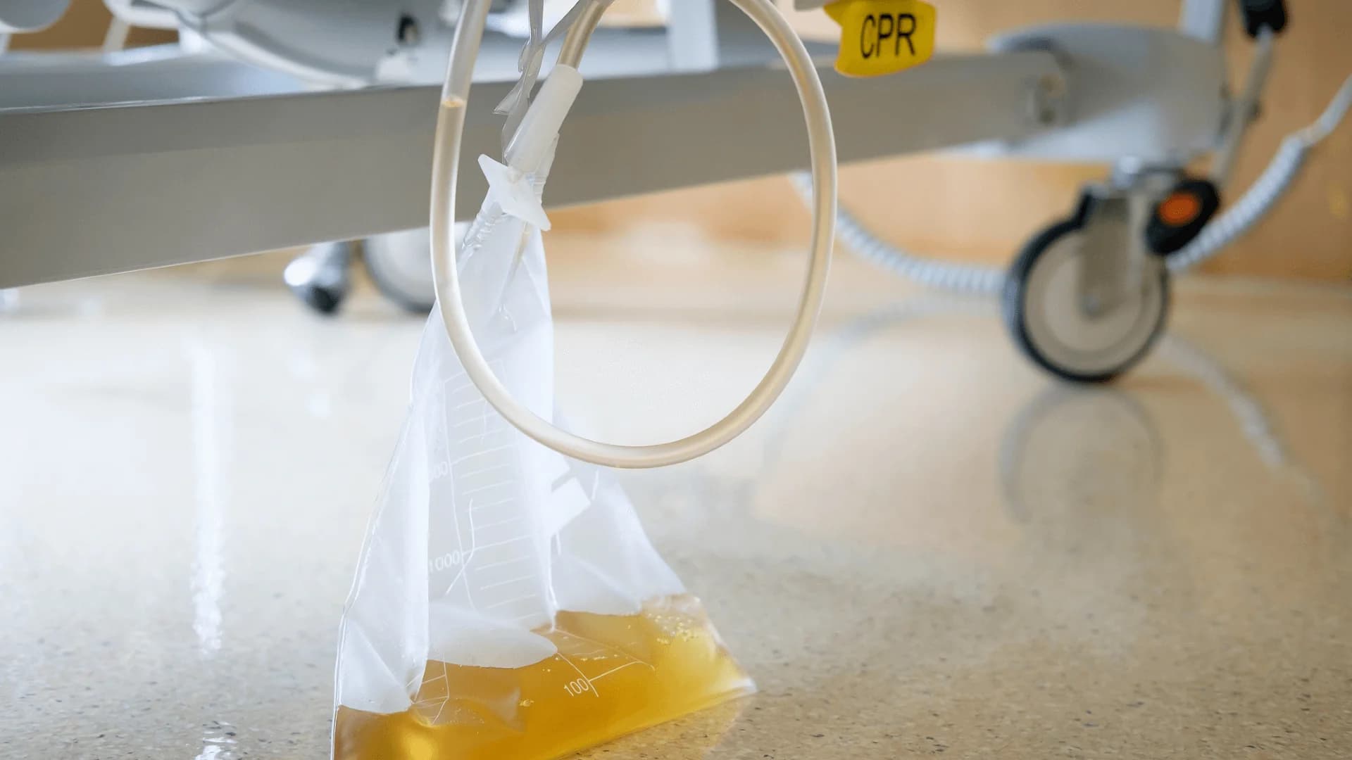 No alternate text provided