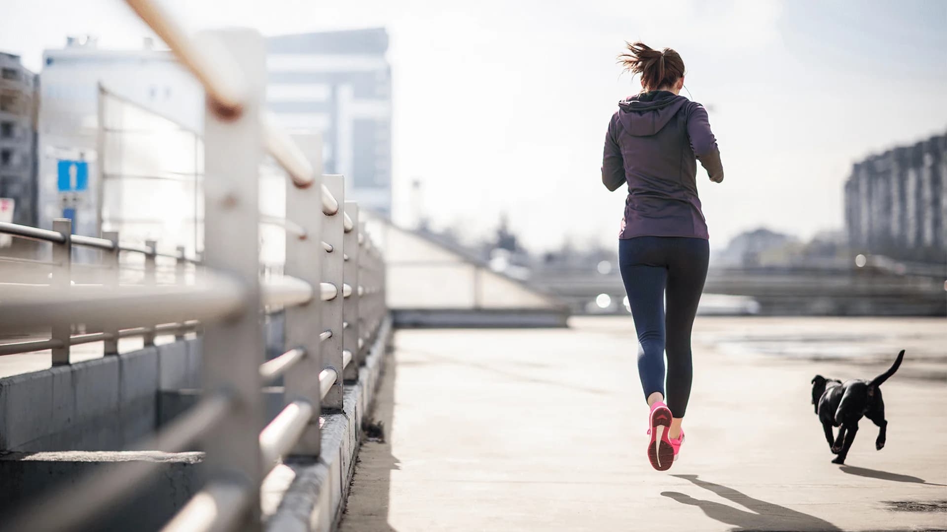 No alternate text provided