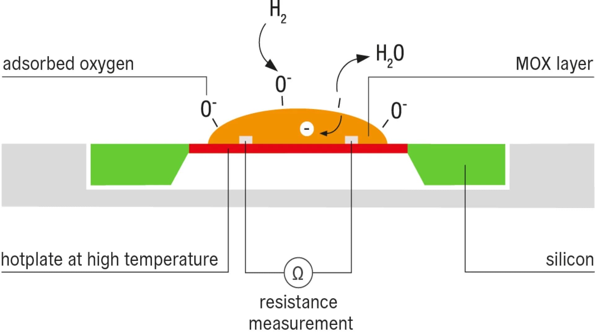 No alternate text provided